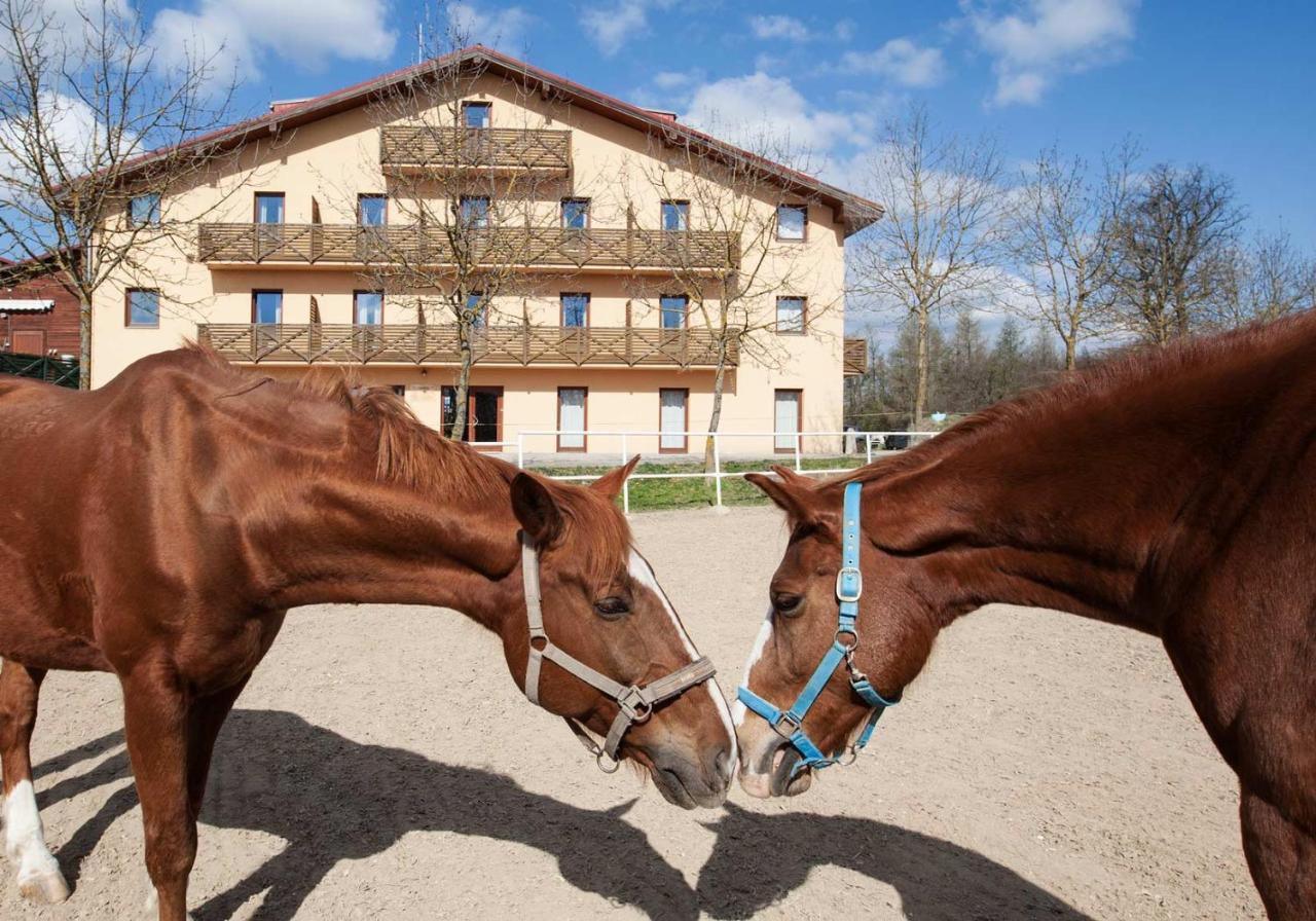 Hotel Panska Licha Brno Eksteriør billede